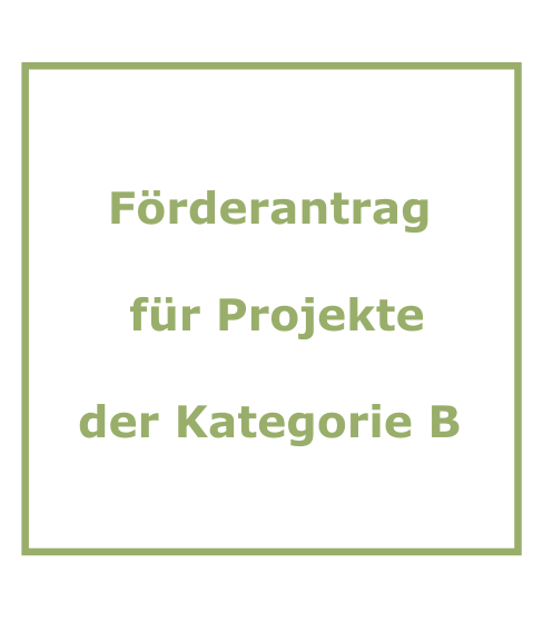 Förderantrag für Projekte der Kategorie B