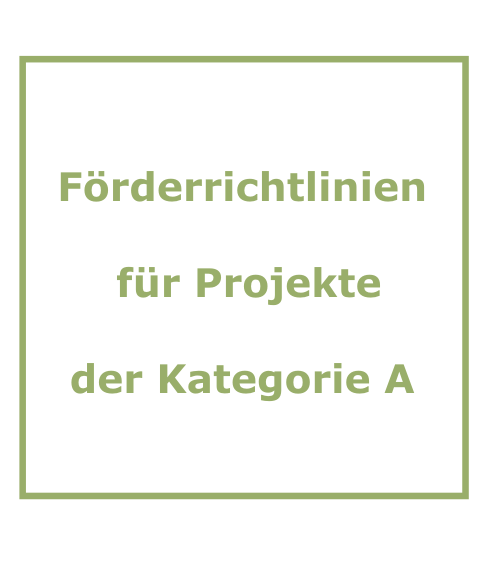 Förderrichtlinien für Projekte der Kategorie A