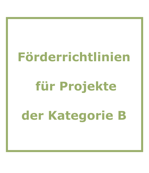 Förderrichtlinien für Projekte der Kategorie B