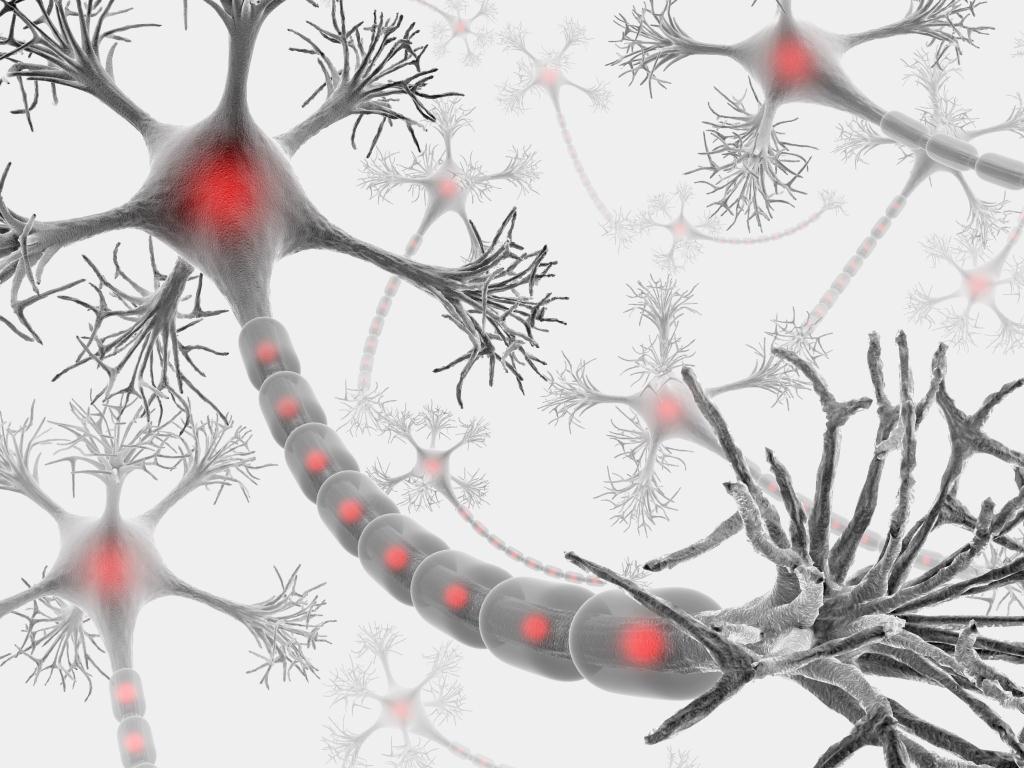 Neuron mit der kompletten Struktur für die Übertragung von zellulären Signalen